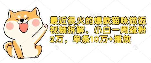 最近很火的爆款猫咪做饭视频拆解，小白一周涨粉2万，单条10万+播放(附保姆级教程)多鑫网-专注分享网络创业落地实操课程 – 全网首发_高质量项目输出多鑫网