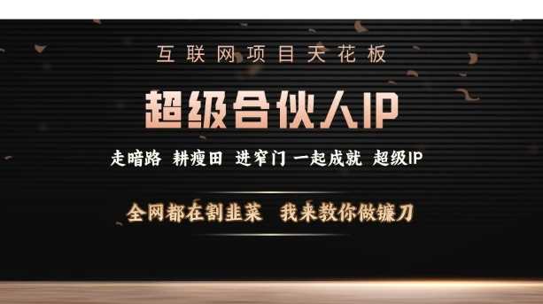 互联网项目天花板，超级合伙人IP，全网都在割韭菜，我来教你做镰刀【仅揭秘】多鑫网-专注分享网络创业落地实操课程 – 全网首发_高质量项目输出多鑫网