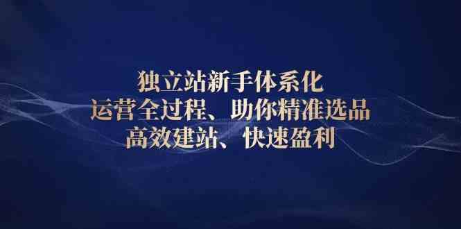 独立站新手体系化 运营全过程，助你精准选品、高效建站、快速盈利多鑫网-专注分享网络创业落地实操课程 – 全网首发_高质量项目输出多鑫网