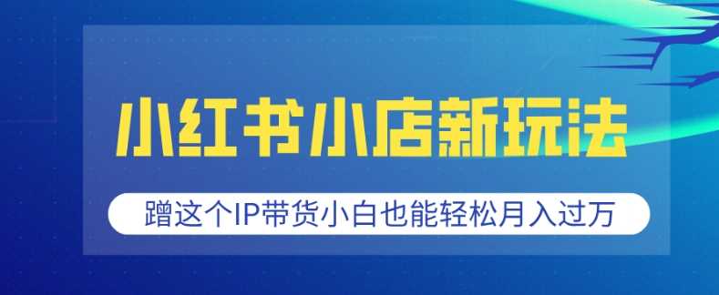 小红书小店新玩法，蹭这个IP带货，小白也能轻松月入过W【揭秘】多鑫网-专注分享网络创业落地实操课程 – 全网首发_高质量项目输出多鑫网