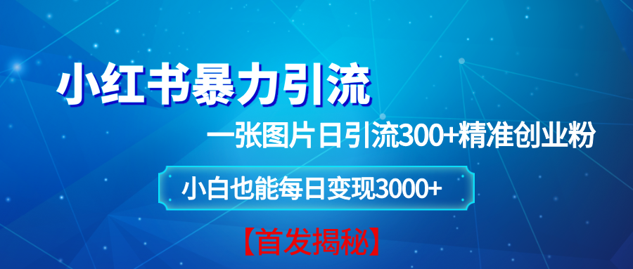 （13935期）小红书暴力引流法，一张图片日引 300+精准创业粉，每日稳定变现 3000+【揭秘】多鑫网-专注分享网络创业落地实操课程 – 全网首发_高质量项目输出多鑫网