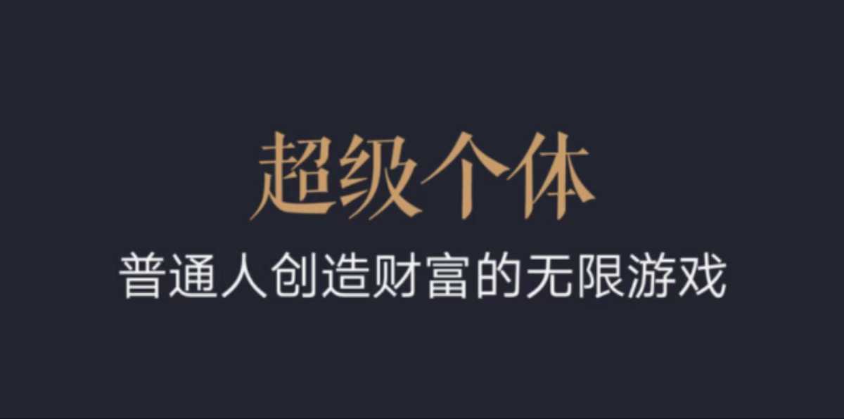 超级个体：2024-2025翻盘指南，普通人创造财富的无限游戏多鑫网-专注分享网络创业落地实操课程 – 全网首发_高质量项目输出多鑫网