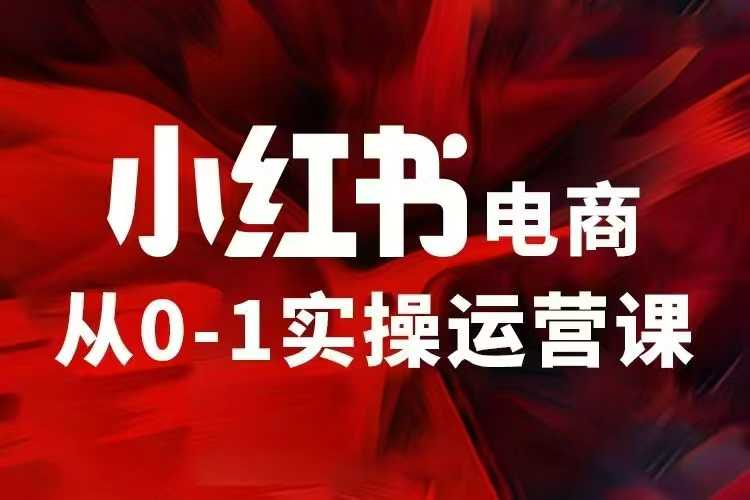 小红书电商运营，97节小红书vip内部课，带你实现小红书赚钱多鑫网-专注分享网络创业落地实操课程 – 全网首发_高质量项目输出多鑫网